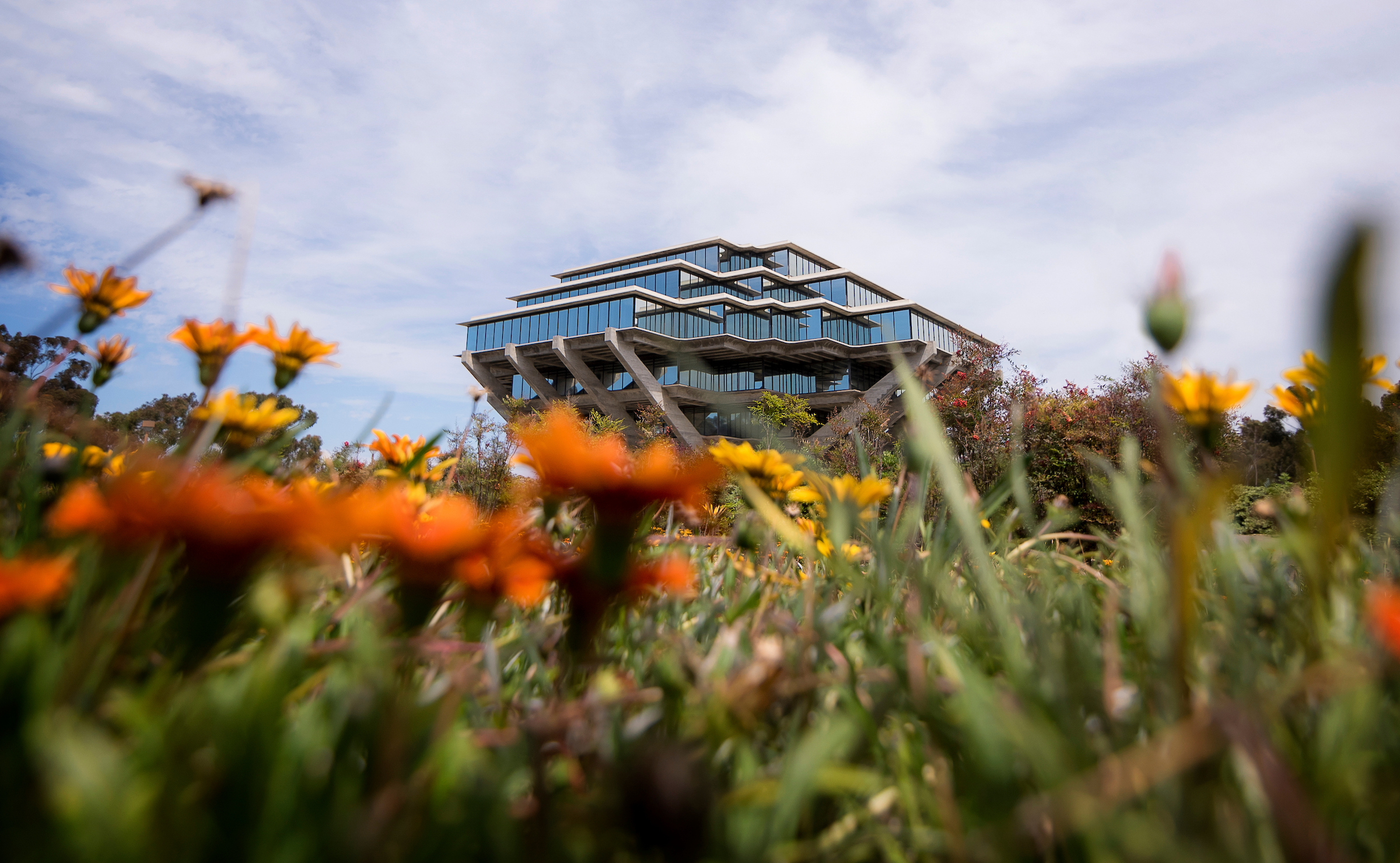 Photo of UCSD campus